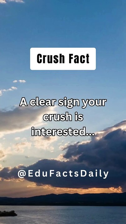 Crush Fact...#facts #subscribe #viral #amazingfacts #shortvideos #shorts #factsoflife #viralvideos #girl #relationship #relationshipgoals #crush #video #viralshorts #viralreels #short #shortsvideo #shortsfeed #shortsviral #shortsyoutube #fact #factshorts