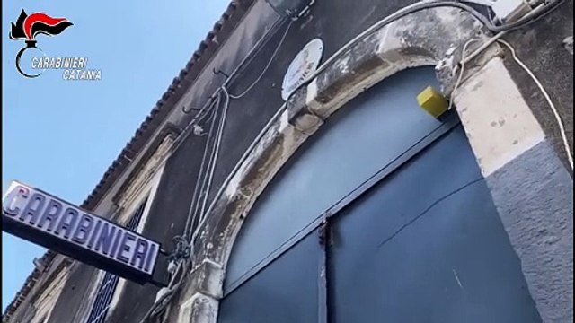 Catania, quartiere “San Cristoforo”: Carabinieri a caccia di stalle abusive: 4 cavalli sequestrati