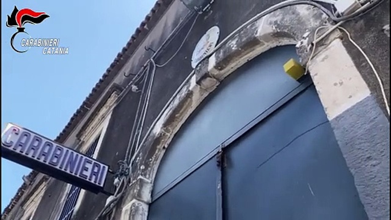 Catania, quartiere “San Cristoforo”: Carabinieri a caccia di stalle abusive: 4 cavalli sequestrati