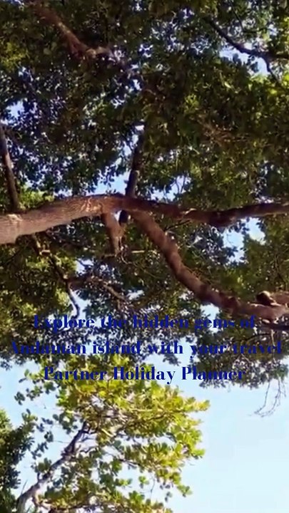Unexplored Andaman