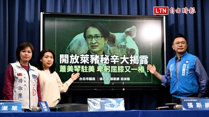 國民黨批蕭美琴放水美豬政策，指其成台灣利益的最大阻礙 🐖