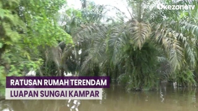 Sungai Kampar Meluap, Ratusan Rumah Warga Terendam Banjir
