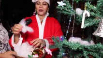 Geetanjali Mishra aka Rajjo Celebrates Christmas With Telly Masala Happu Ki Ultan Paltan