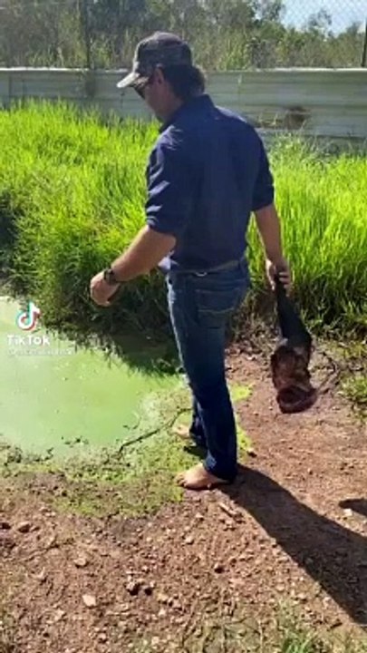 Ne mettez pas les pieds dans cette marre... vous allez comprendre