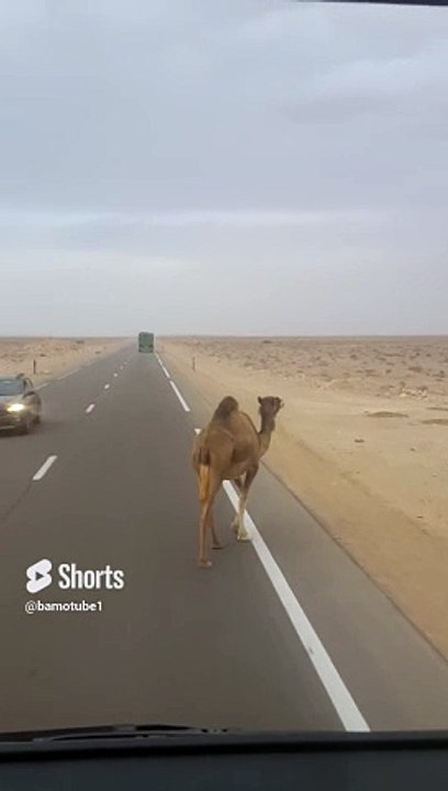 مرحباhello☠☠⁉️