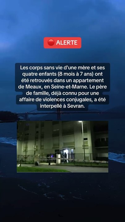 Les corps sans vie d'une mère et ses quatre enfants (8 mois à 7 ans) ont été retrouvés dans un appartement de Meaux, en Seine-et-Marne.