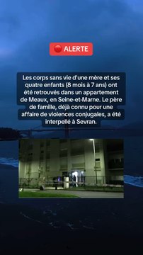 Les corps sans vie d'une mère et ses quatre enfants (8 mois à 7 ans) ont été retrouvés dans un appartement de Meaux, en Seine-et-Marne.