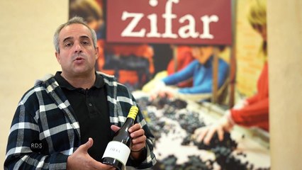 Albillo Mayor: La uva histórica y sorprendentemente desconocida 🍇