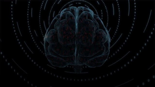 Le casse-tête énergétique du cerveau humain, enfin percé à jour ?