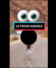La tâche aveugle dans notre vision