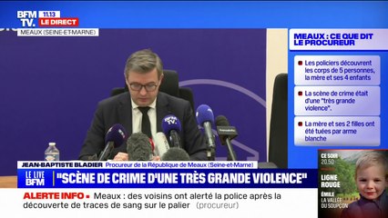 Quintuple homicide à Meaux: le père de famille a indiqué aux policiers "s'en être pris à sa famille"