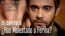 ¿Has molestado Feriha? - El Secreto De Feriha Capítulo 35 En Español