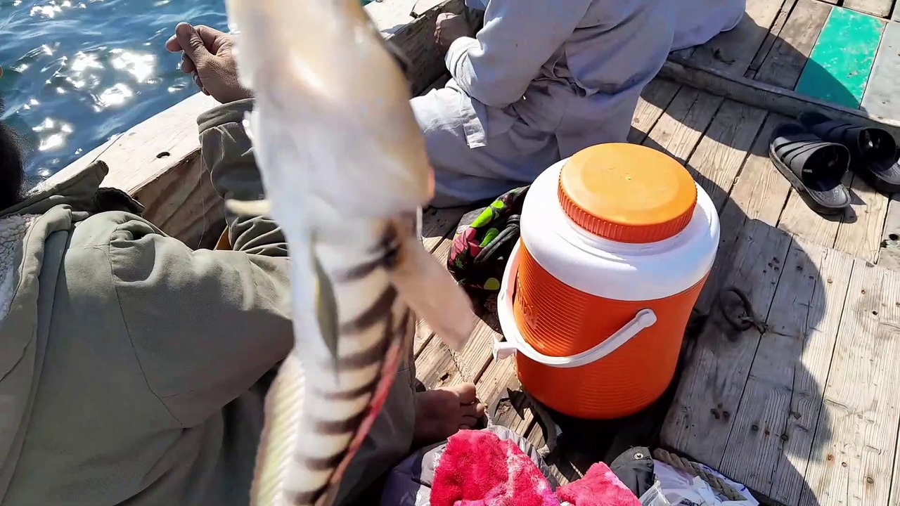 Keamari fishing vlogs 25 december 2023 | Karachi fishing videos | fishing videos | fishing lovers