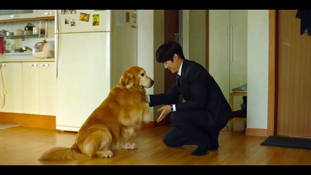 映画『マイ・ハート・パピー』犬尽くしの特別予告映像