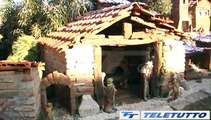 Video News - IL PRESEPE DI SAN ROCCO DI VEROLANUOVA