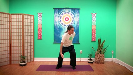 5 Elements Qigong_ WATER Energy (Kidney & Bladder)