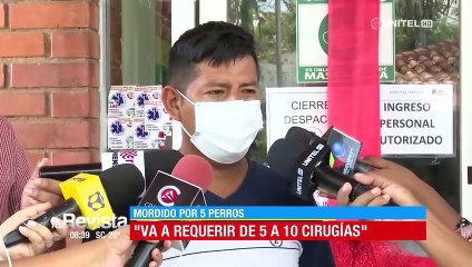 Niño mordido por cinco perros está estable