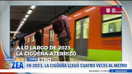 La cigüeña visitó cuatro veces el Metro de la CDMX este 2023