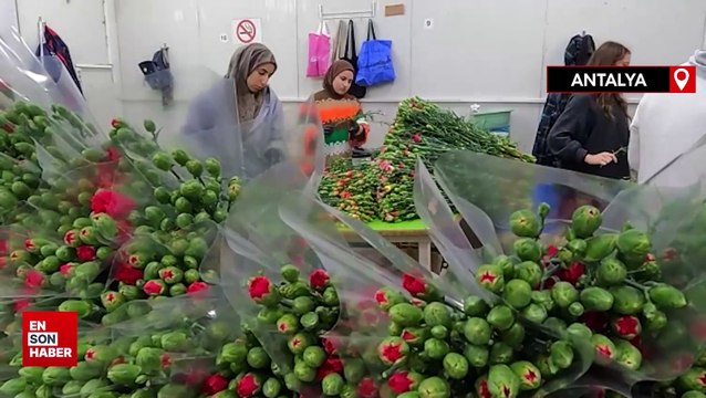 Türkiye'den 73 ülkeye 140 milyon dolarlık çiçek ihracatı