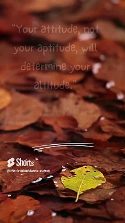 Fuel Your Fire_ Motivation Matrix Snapshots#motivation video#motivation