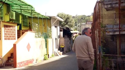 Rtp Telegiornale 26 dicembre 2023