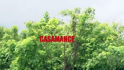 La Belle Casamance 🌴