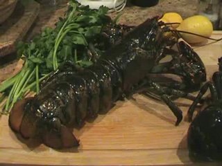 Homard grille au beurre citron-persil