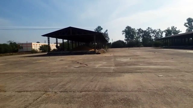 Sheds lying vacant in sub-market worth Rs 3 crore, office doors broken, floor caved in