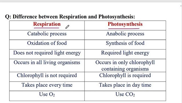 Differences between photosynthesis and respiration