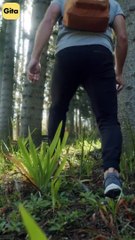 Why don’t you travel? || Acharya Prashant