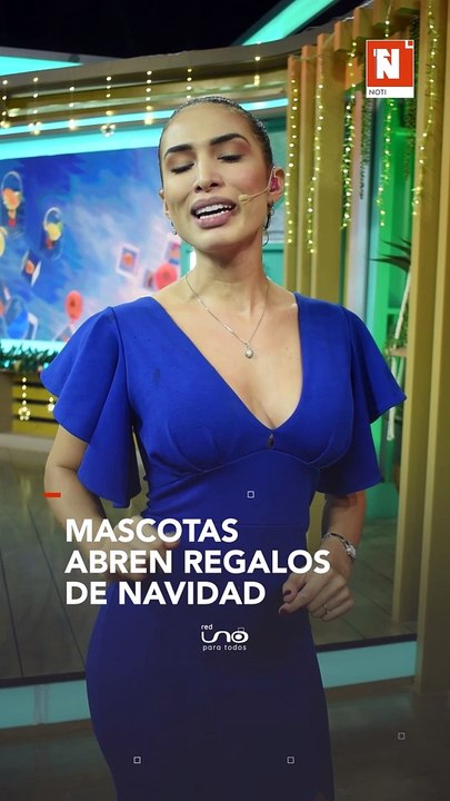 Ternura en TikTok: perritos abren sus regalos de Navidad