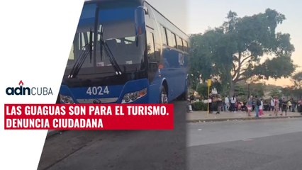 Las guaguas son para el turismo. Denuncia ciudadana