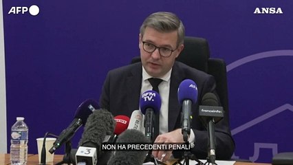 Pluriomicidio in Francia, il procuratore:  "L'uomo arrestato soffre di problemi psichiatrici"