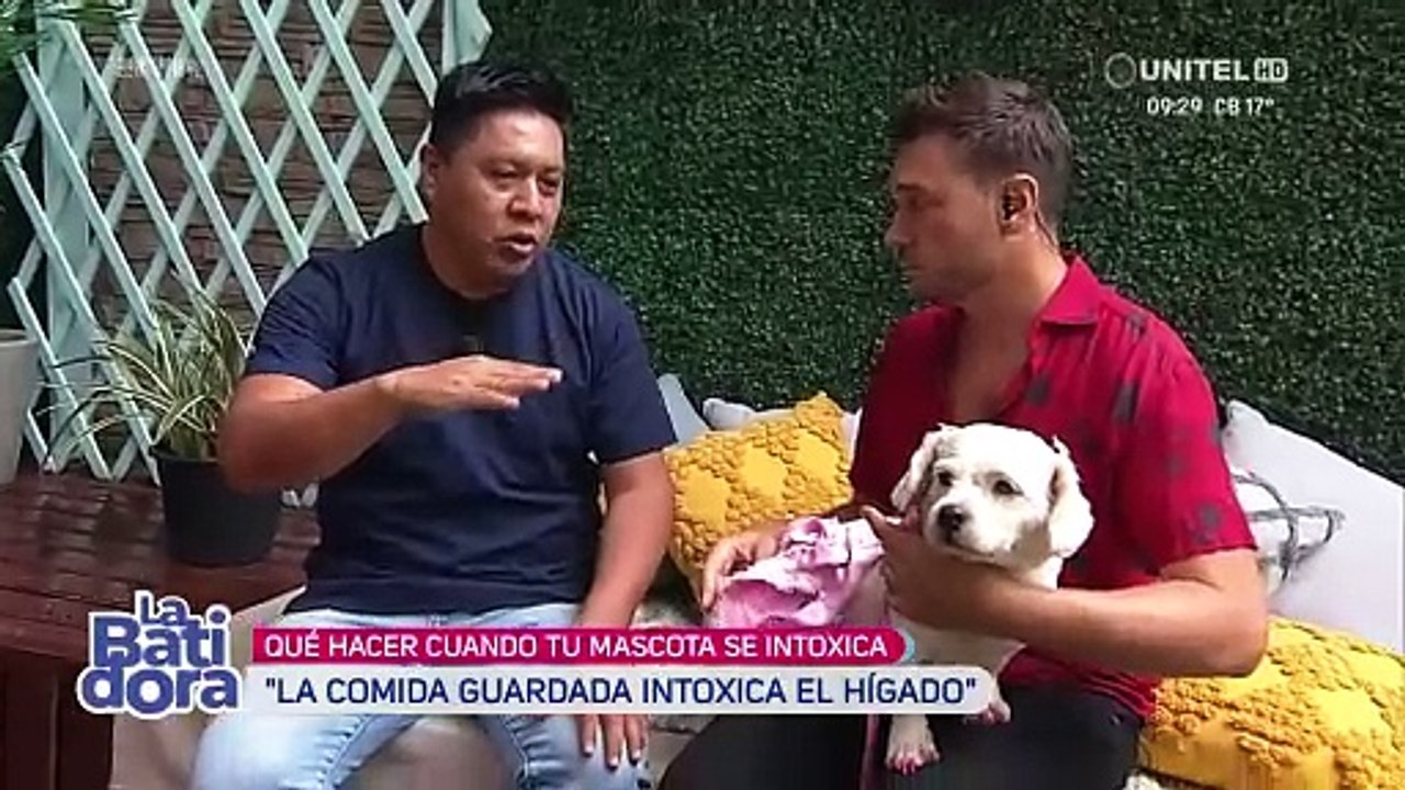 ¿Intoxicación alimentaria ? Conozca lo que debe hacer si su mascota sufre este mal