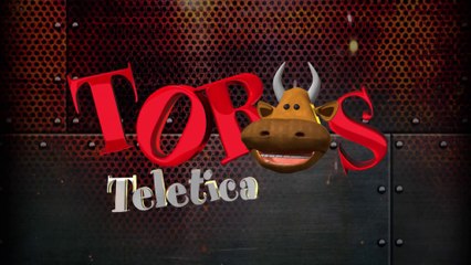 Toros 25 Diciembre 2023