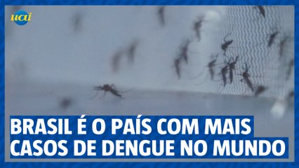 Brasil é o país com mais casos de dengue no mundo