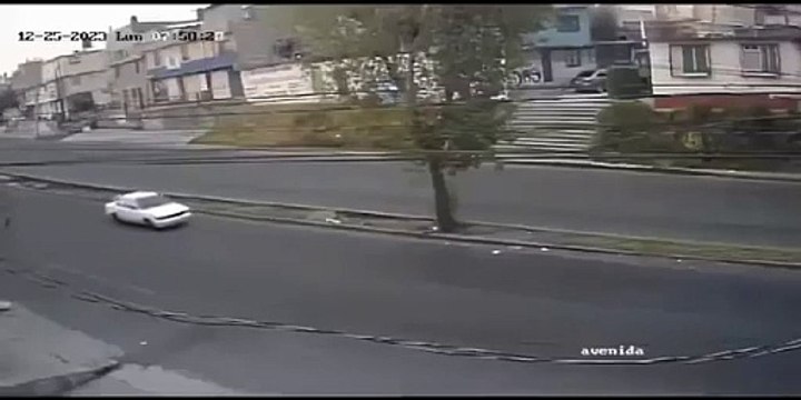 Conductor muere al estrellarse contra un árbol