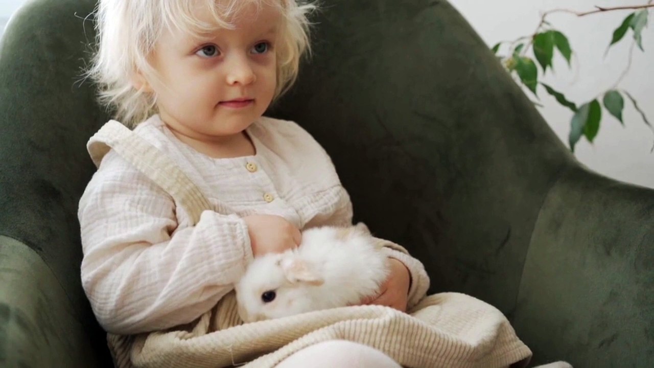 Cutest Babies Play With Dogs And Cats Compilation