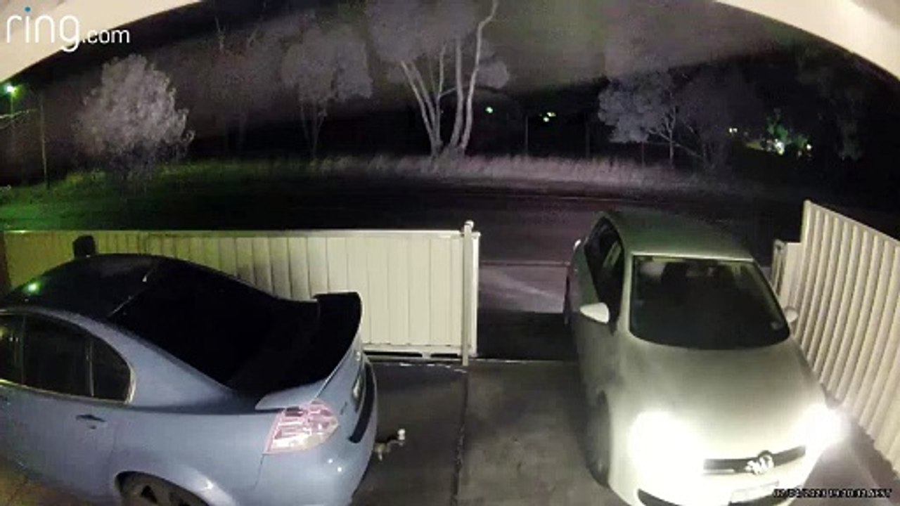 Delivery Driver Forgets to Put Car in Park - video Dailymotion