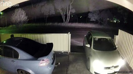Delivery Driver Forgets to Put Car in Park