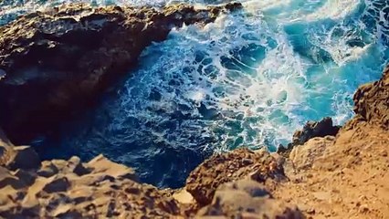 Max's adventures in the mysterious forest part 3 and 4