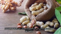 تفسير الفول السوداني في المنام للحامل