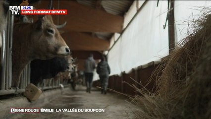 LIGNE ROUGE - Qui est le jeune agriculteur ayant eu une altercation avec le grand-père d’Émile le matin de la disparition ?