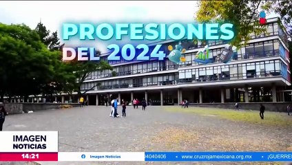 Profesiones de mayor demanda en 2024