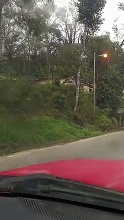 SUBIENDO COLONIA TOVAR DESDE EL JUNQUITO