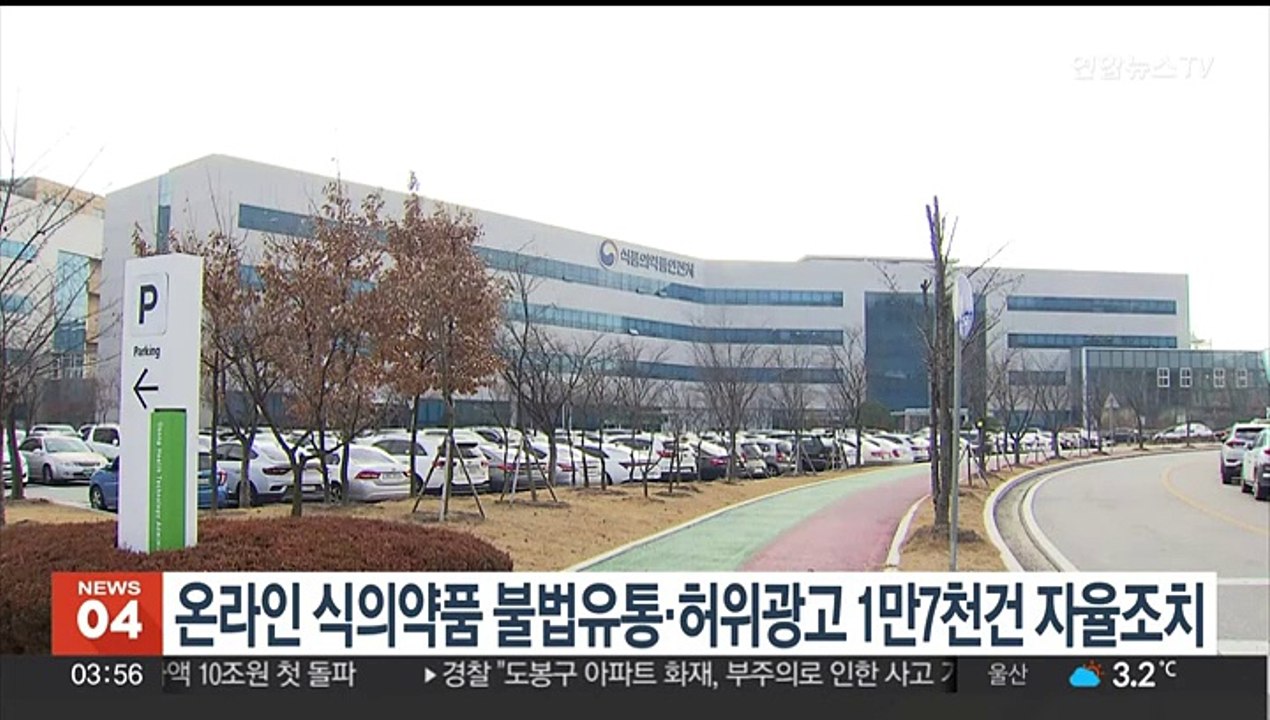 온라인 식의약품 불법유통·허위광고 1만7천건 자율조치