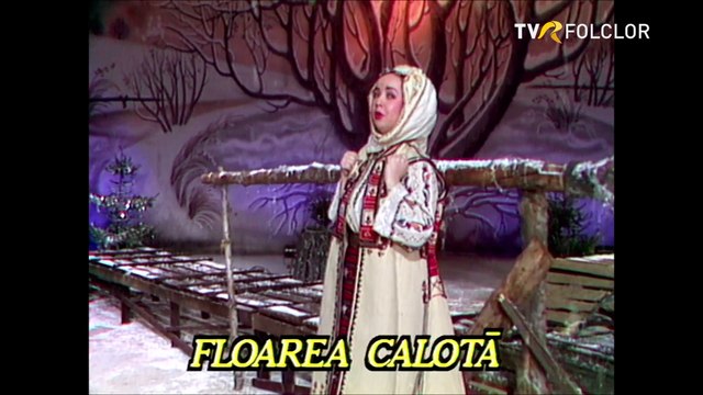 Floarea Calota - Neic-al meu al de demult (Tezaur folcloric - arhiva TVR)