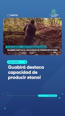 Guabirá destaca capacidad de producir etanol