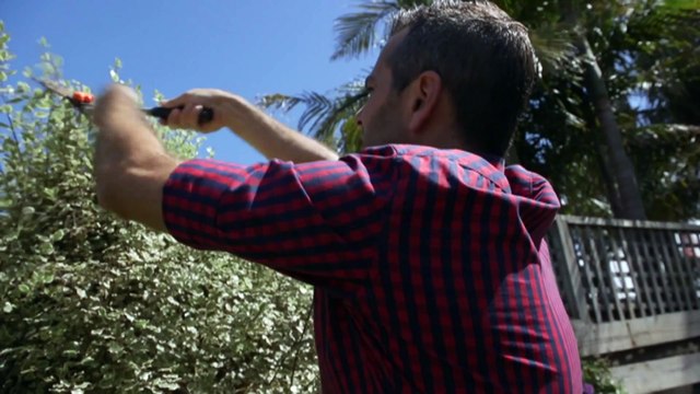 Calls for more information about donating unused eggs for women with infertility issues