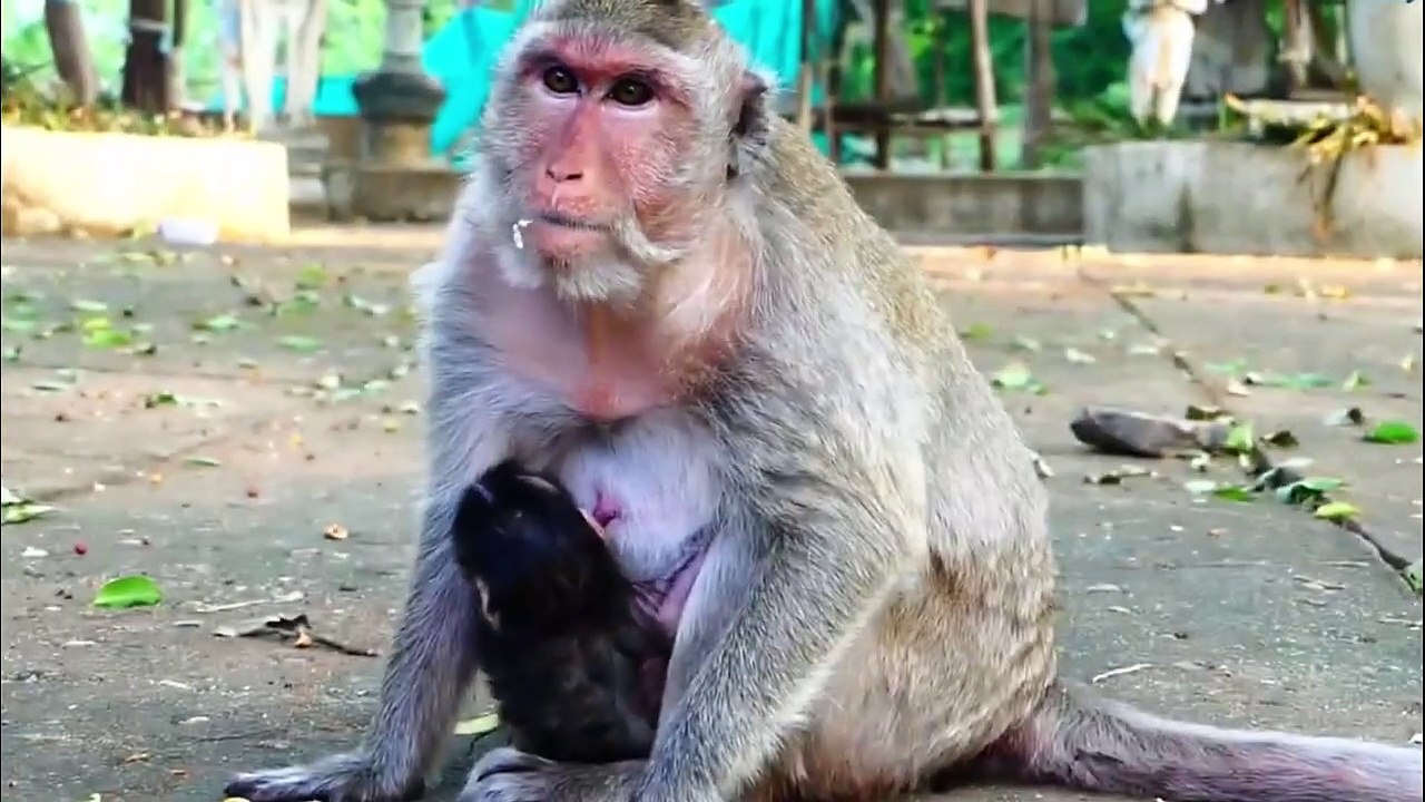 Newborn baby feels so tight, when mom holds strongly, newborn try to move ahead (720p_25fps_H264-192kbit_AAC)